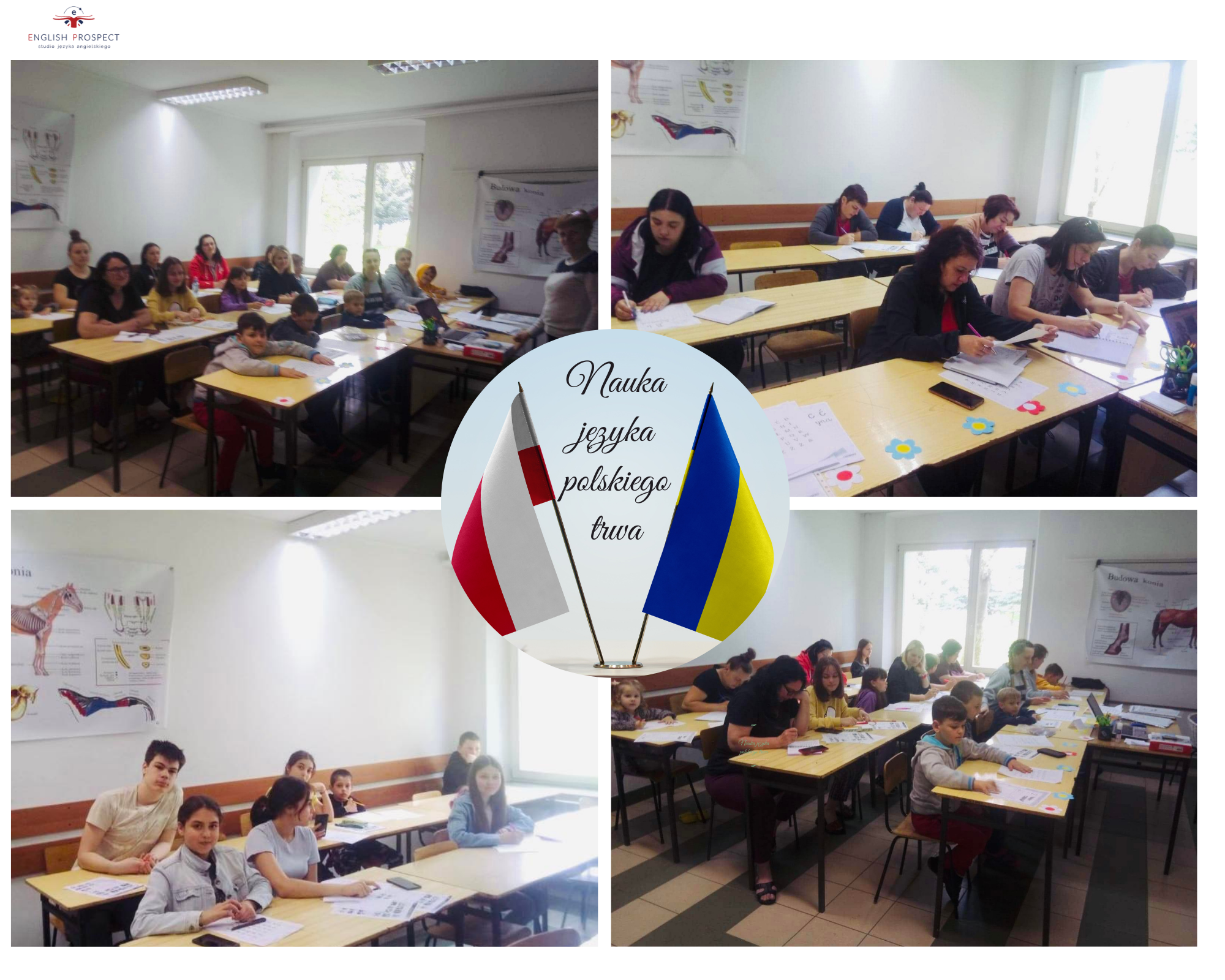 Lekcje języka polskiego dla Ukraińców w Radymnie!