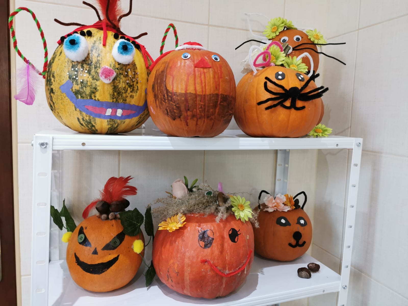 Wyniki konkursu z okazji Dnia Dyni