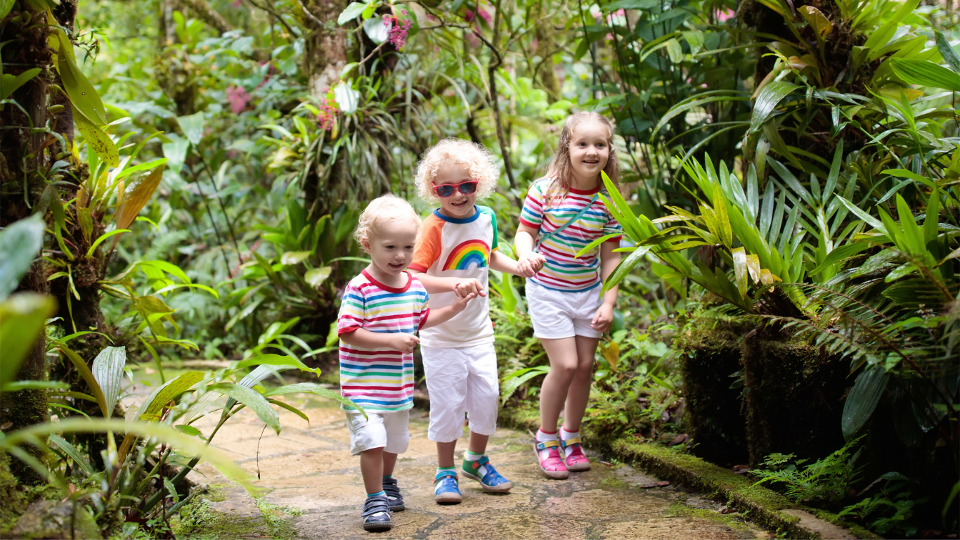 „Walking in the Jungle”